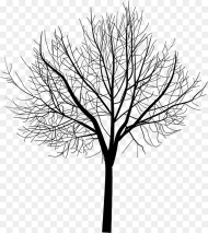 Thumb Image Animation Trees Hd Png Download