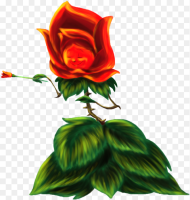Flower in Alice and Wonderland Hd Png