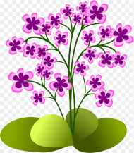 Small Flowers Small Flower Plants Clipart Hd Png