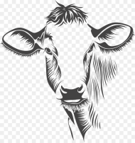 Cabeza Vaca Ganado Animales Granja Cow Face On
