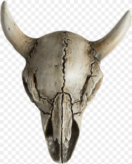 Cow Skull Horror Ornament Horror Head Png Transparent