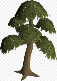 Runescape Yew Tree Hd Png Download