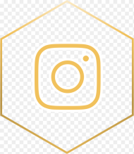 Mountain Lion Delivery Instagram Circle Png