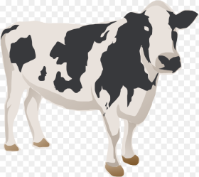 Cattle Png Download Dairy Cow Cow Icon Png