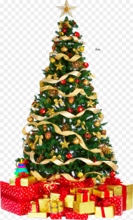 Christmas Tree Png Pic Christmas Tree Png Download