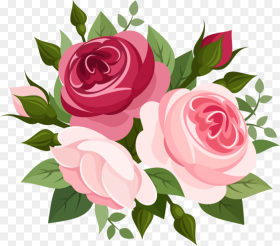 Pink Roses Png Elegant Rose Vector Picture Bouquet