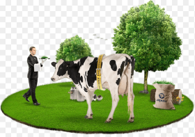 Alpura Nuestras Vacas Bienstar Dairy Cow Hd Png