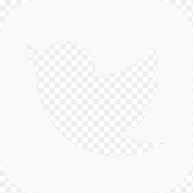 Twitter Logo Button Current Twitter Logo White Twitter