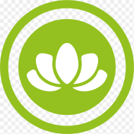 Green Circle With Lotus Flower Inside Circle Hd