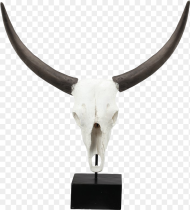Cow Skull Png Cattle Transparent Png