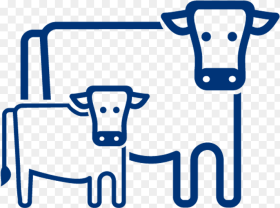 Cow Calf Cow Calf Production Hd Png Download