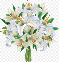 Bouquet Png White Flower Clipart Flowers Bouquets Png