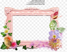 Picture Frame Hd Png Download 