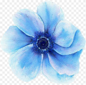 Transparent Blue Flower Blue Watercolor Flowers Svg Hd