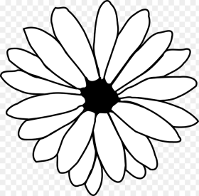 Daisy Flower Black and White Clipart Hd Png