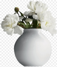 Vase Png Vase With Flowers Png