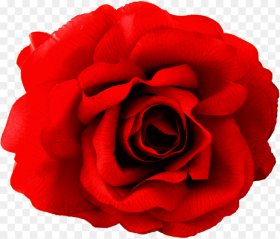 Spanish Red Flower Png