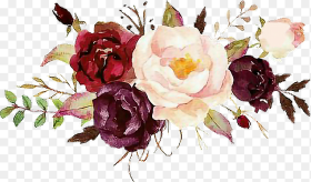Beautiful Watercolor Lovewatercolors Flowers Flores Burgundy Watercolor Flowers