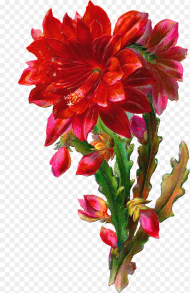 Flower Clipart Beautiful Png  Beautiful Flowers Png