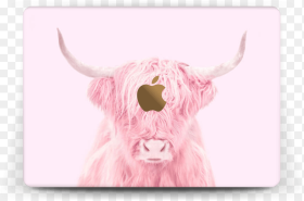 Pink Bull Skin Macbook  Pink Bull Hd