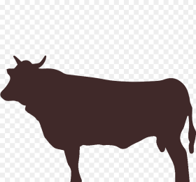 Dairy Cow Clipart Png Download Bull Transparent Png