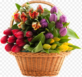 Bouquet of Flowers Png Image Flowers Basket