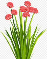 Cartoon Grass and Flowers Png Flower Grass Texture