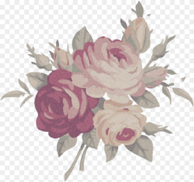 Floral Rose Interesting Art Aesthetic Flower Png