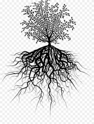Transparent Tree of Life With Roots Clipart Transparent