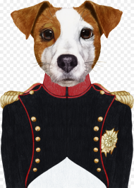 Cow in Military Uniform Hd Png Download