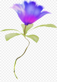 Clipart Watercolor Flowers Blue Hd Png