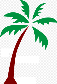 Island Palm Fronds Tree Png Image Public Domain