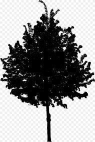 Tree  Black Tree Png Transparent Png