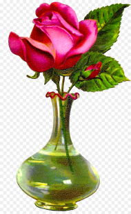 Antique Images Pink Rose Rose Flower With Vase
