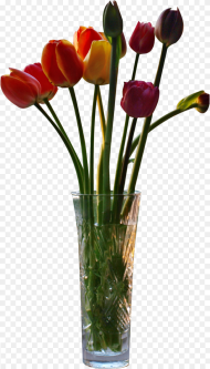 For Your Desktop Picture Flower Vase Cut Out