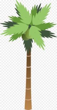 Palm Tree Png Ascending and Descending Numbers Transparent