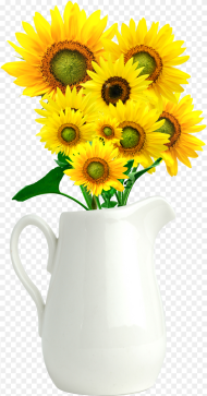 Common Sunflower Vase Sunflower Vase  Background Hd