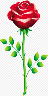 Flowers for Rose Flower Vector Png Rose Flower