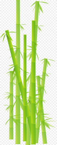 Bamboo Png Transparent Background Bamboo Clipart Png Download
