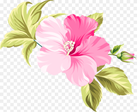 Flower Hawaii Clip Art Pink Beautiful Flower Vector