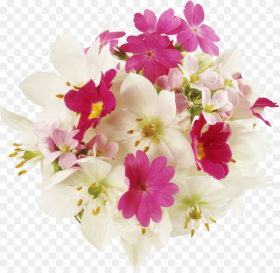 Name Day Flowers Hd Png