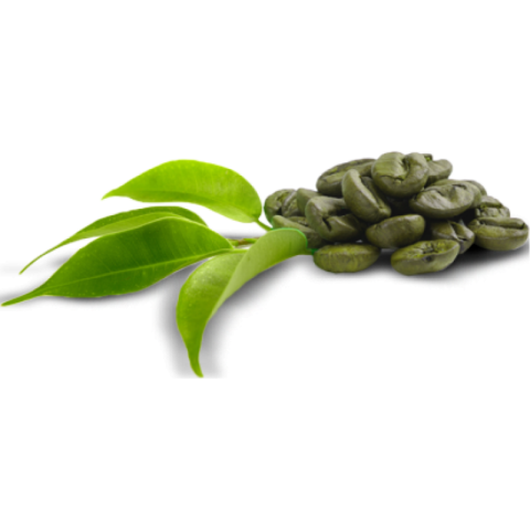 coffee beans png green