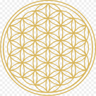 Flower of Life Flower of Life Large Hd