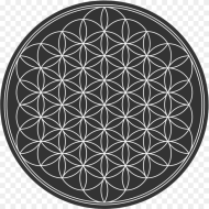 Flower of Life K Hd Png