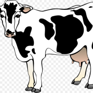Free Cow Clipart Cow Clipart Cow  Clip