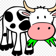 Funny Cow Clipart  Funny Cow Vector Transparent
