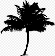 Palm Tree Coconut Palm Tree Tree Free Picture