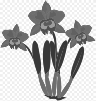 Flower Orchid Clipart Black and White Hd Png