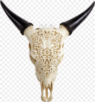 Carved Cow Skull Animal Skulls With Designs Hd