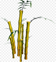 Bamboo Png Transparent Png